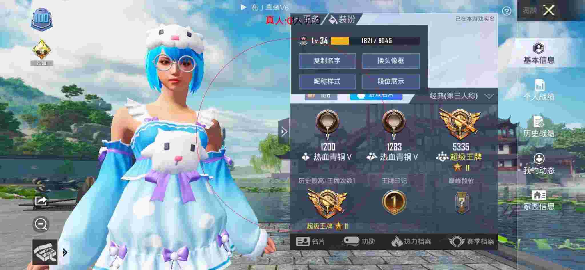 和平精英布丁直装透视 - 王者卡盟辅助网辅助预览图